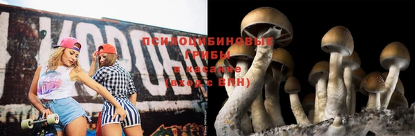 2c-b Заводоуковск