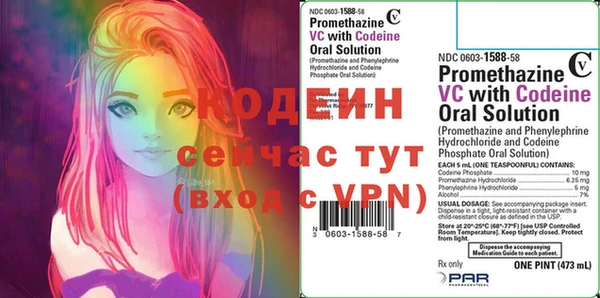2c-b Заводоуковск