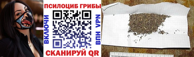 Галлюциногенные грибы Cubensis  что такое наркотик  Инсар 